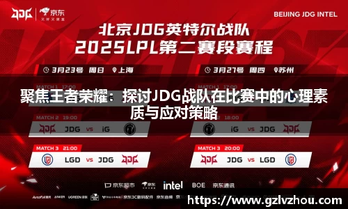 聚焦王者荣耀：探讨JDG战队在比赛中的心理素质与应对策略